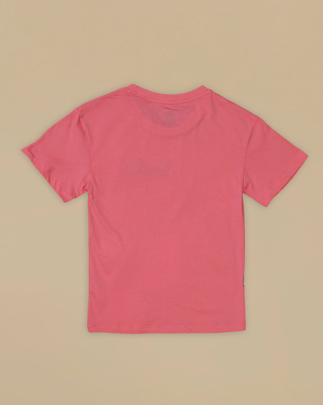 Frozen Printed Relaxed Fit Tshirt For Girls