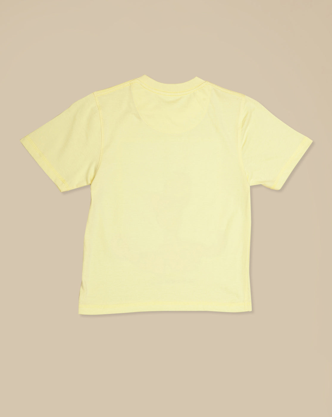 Garfield Printed Regular Fit Tshirt For Boys