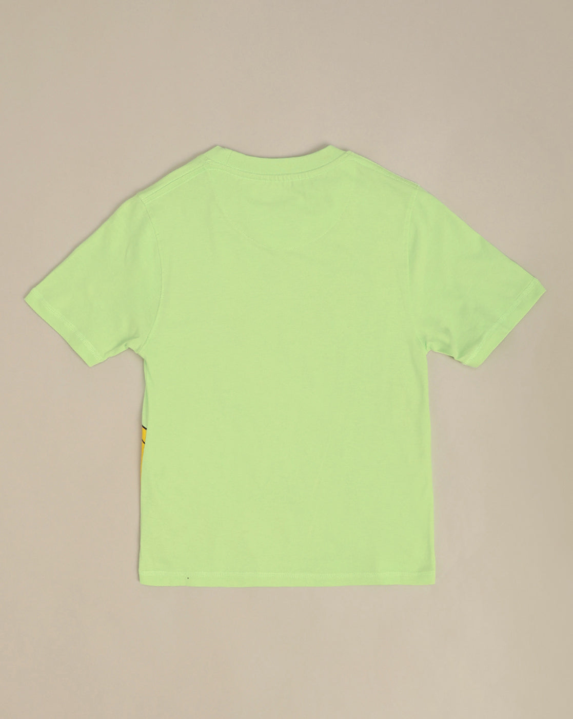 Lion King Printed Regular Fit Tshirt For Boys
