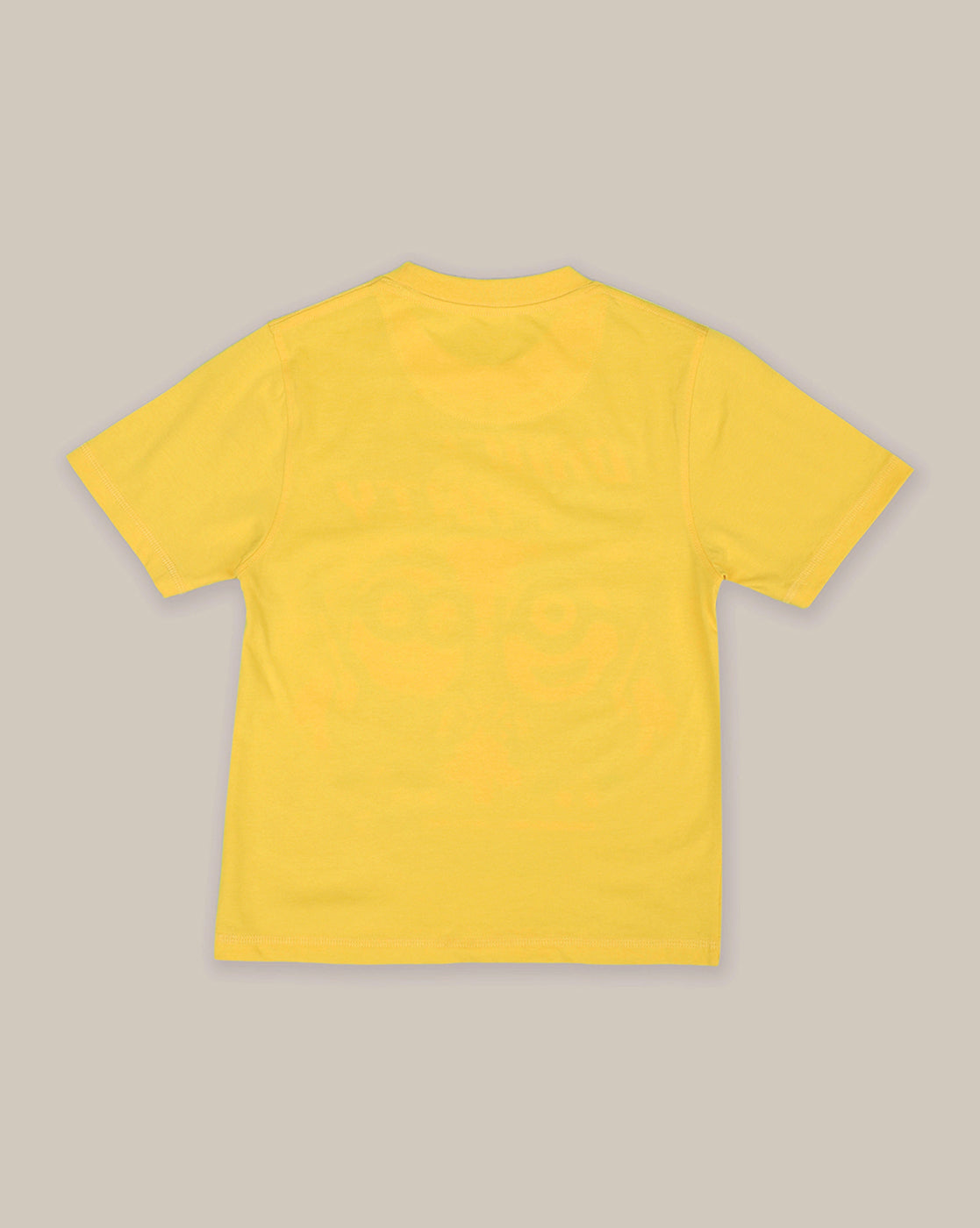 Minions Printed Regular Fit Tshirt For Boys