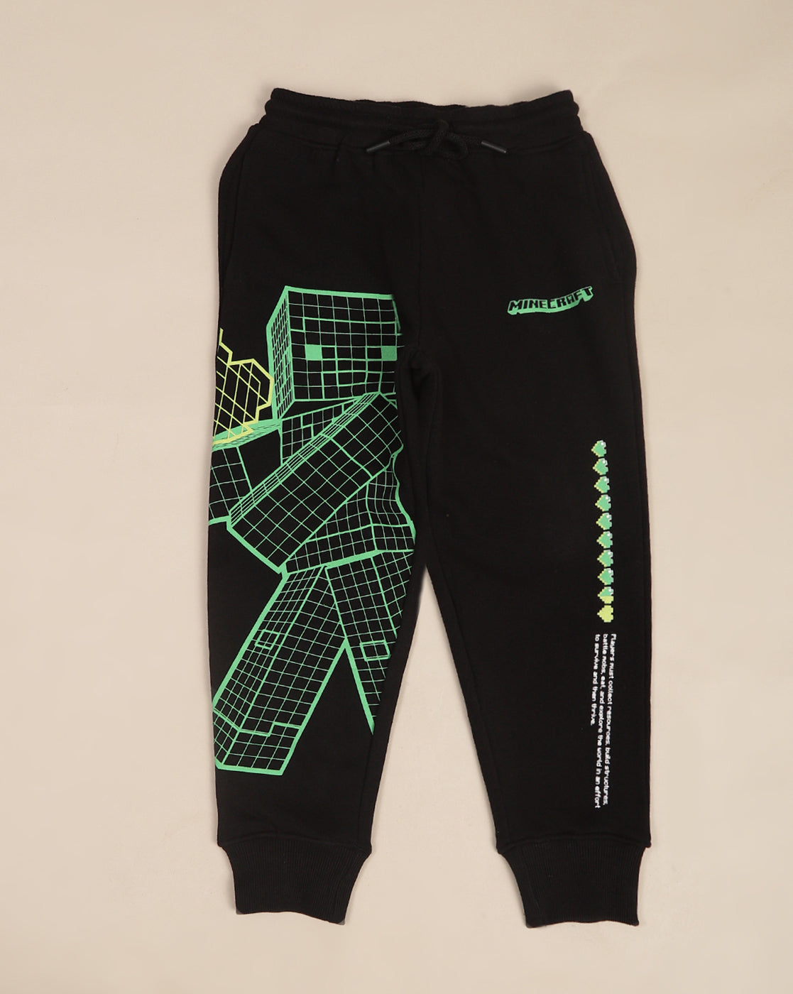 Minecraft Printed Regular Fit Jogger For Boys