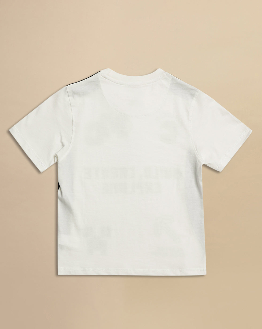 Minecraft Printed Regular Fit Tshirt For Boys