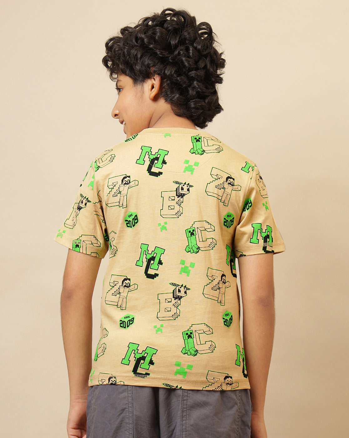Minecraft Printed Regular Fit Tshirt For Boys