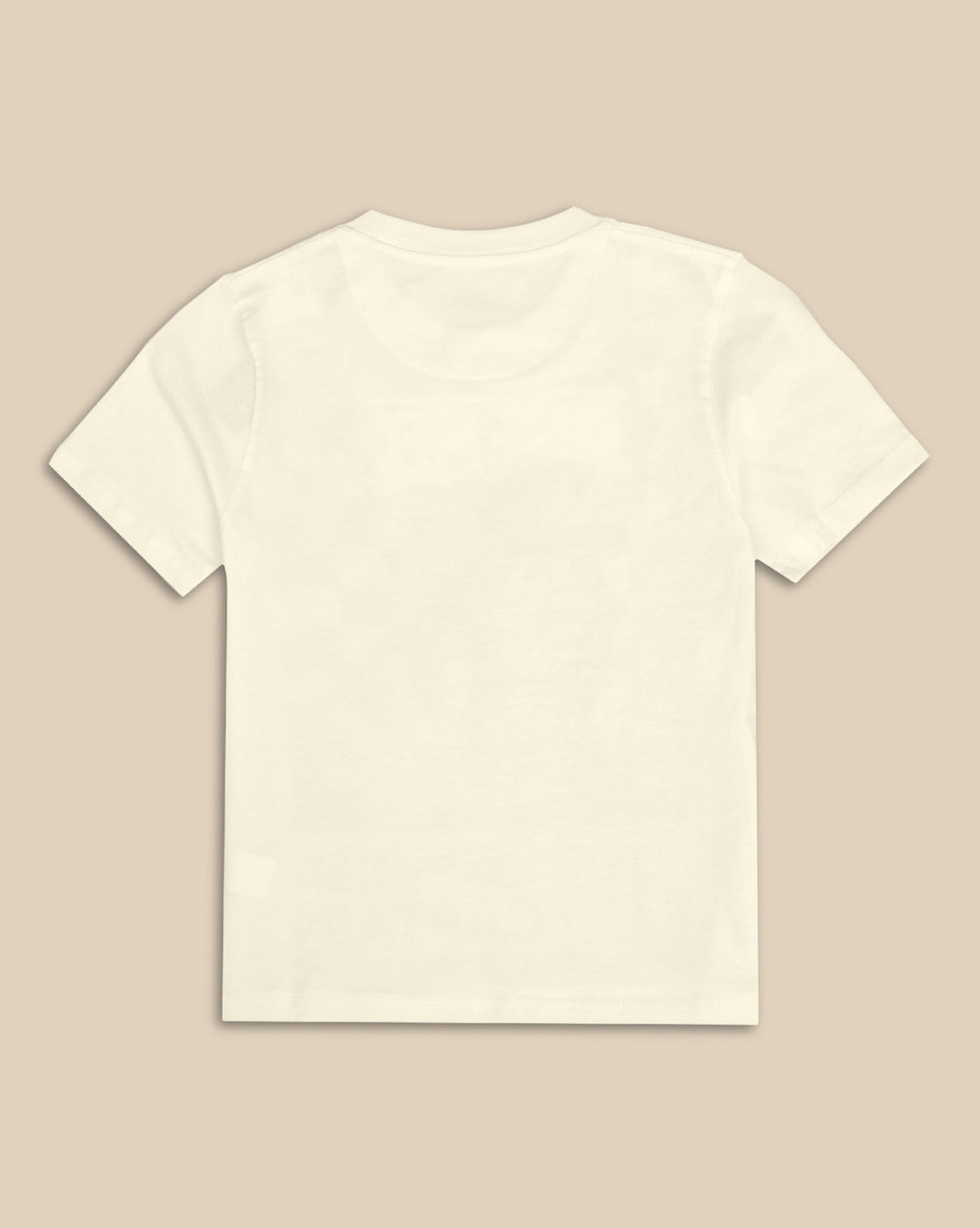 Sonic Modern Printed Regular Fit Tshirt For Boys