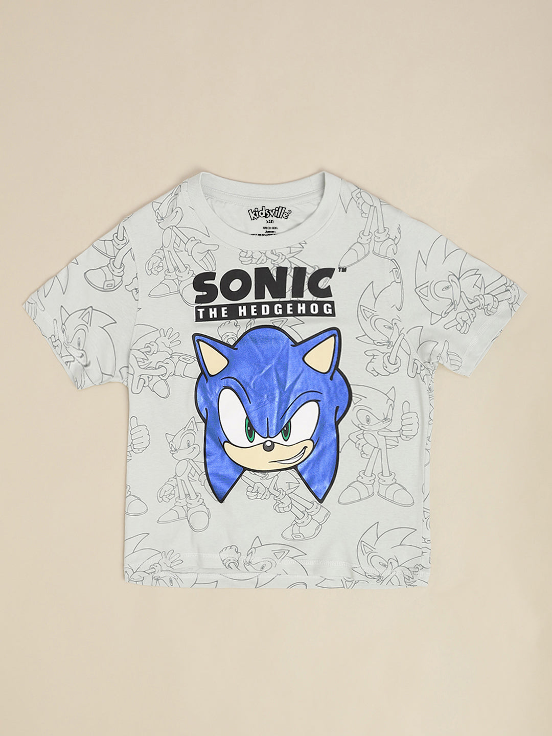 Sonic Modern Printed Regular Fit Tshirt For Boys