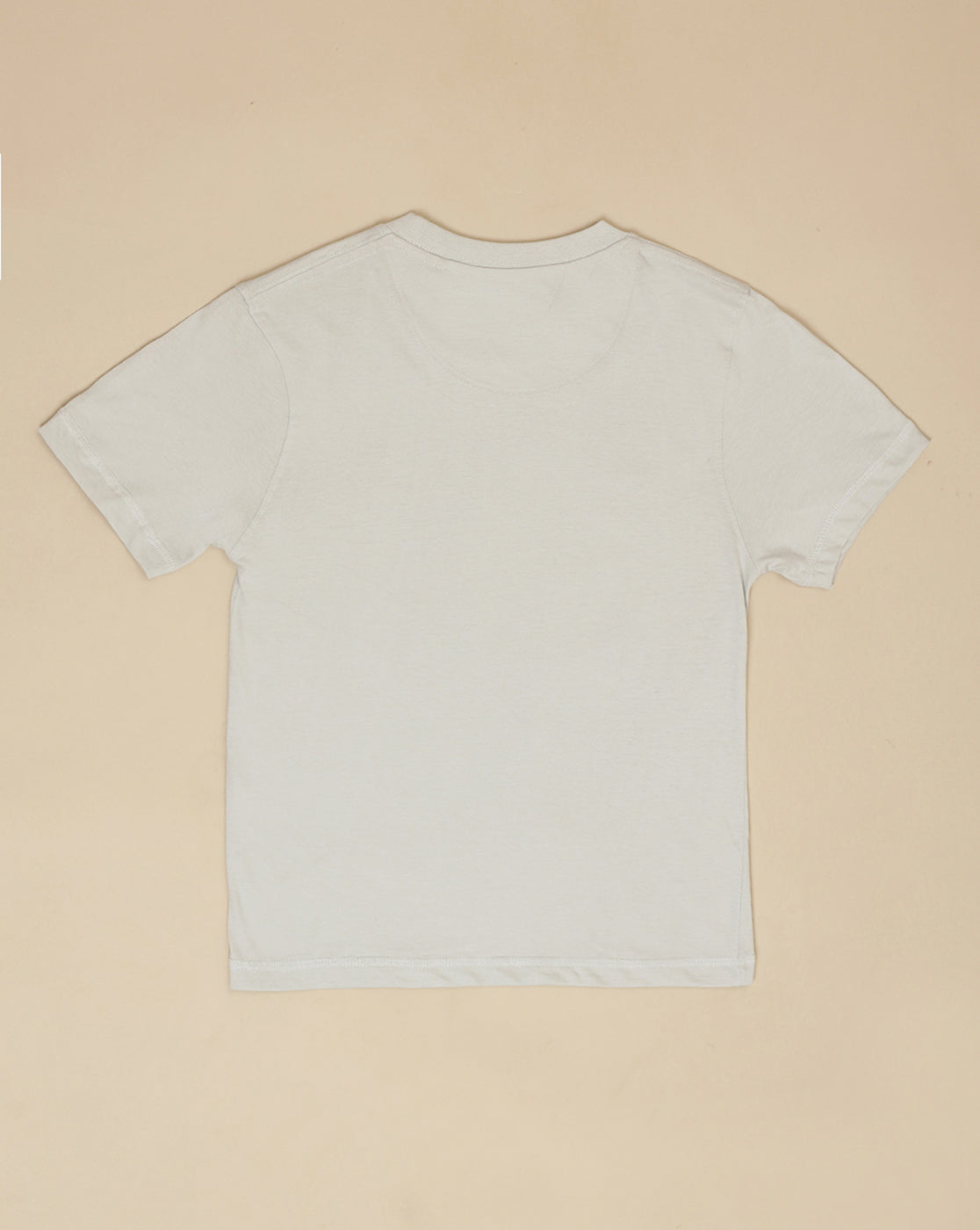 Sonic Printed Regular Fit Tshirt For Boys