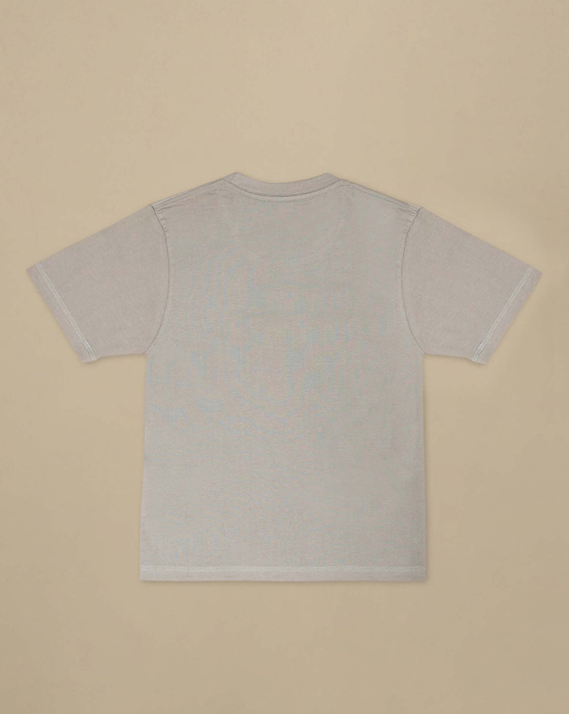 Demon Slayer: Tanjiro Anime Printed Grey Regular Fit Pure Cotton Tshirt For Boys