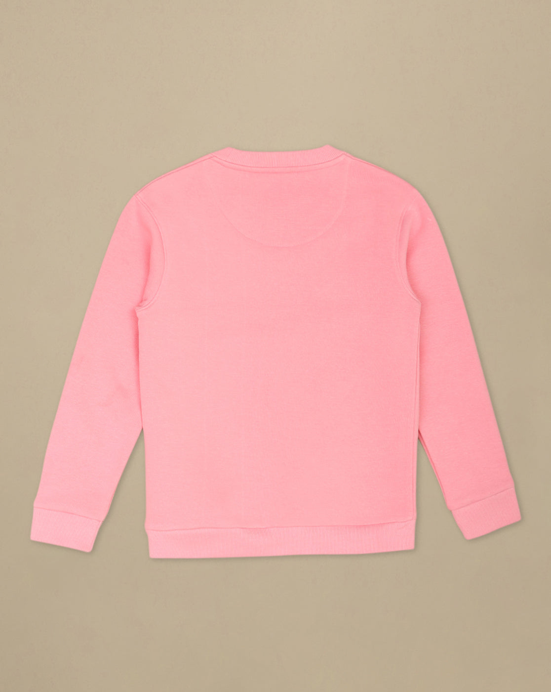 Frozen Printed Regular Sweatshirt For Girls