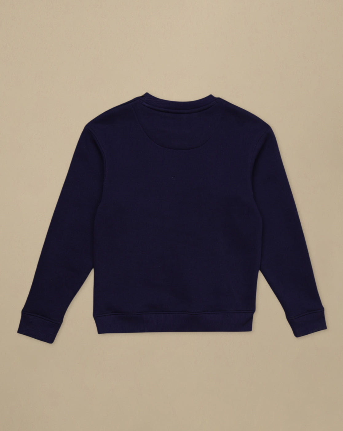 Frozen Printed Regular Fit Sweatshirt For Girls