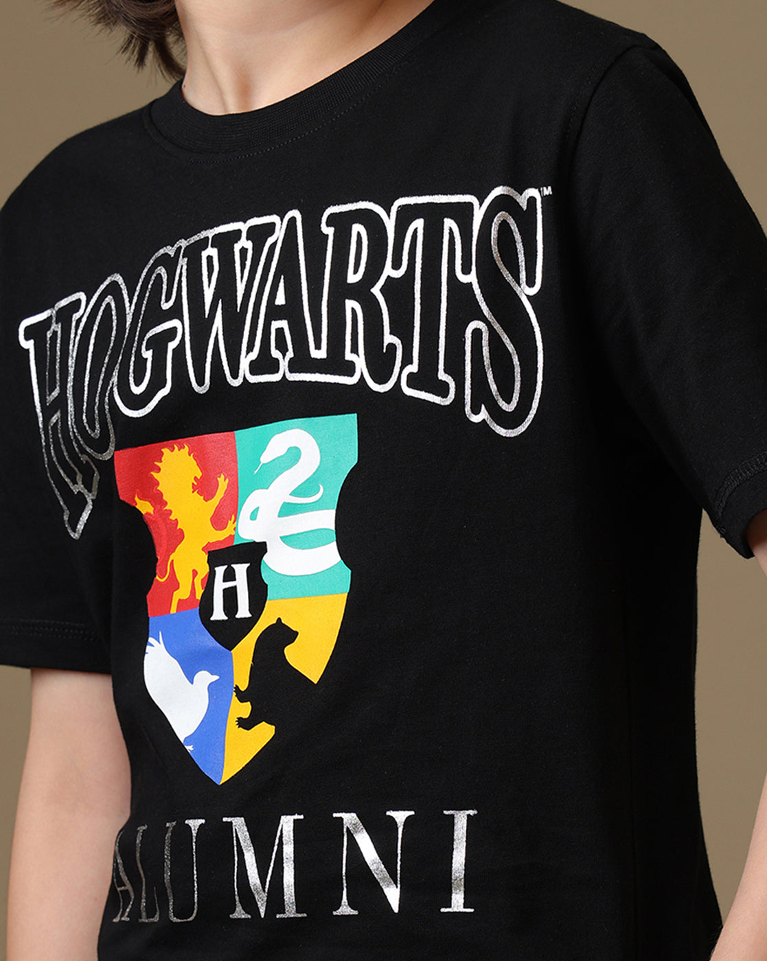 Hogwarts Printed Regular Fit Tshirt For Boys