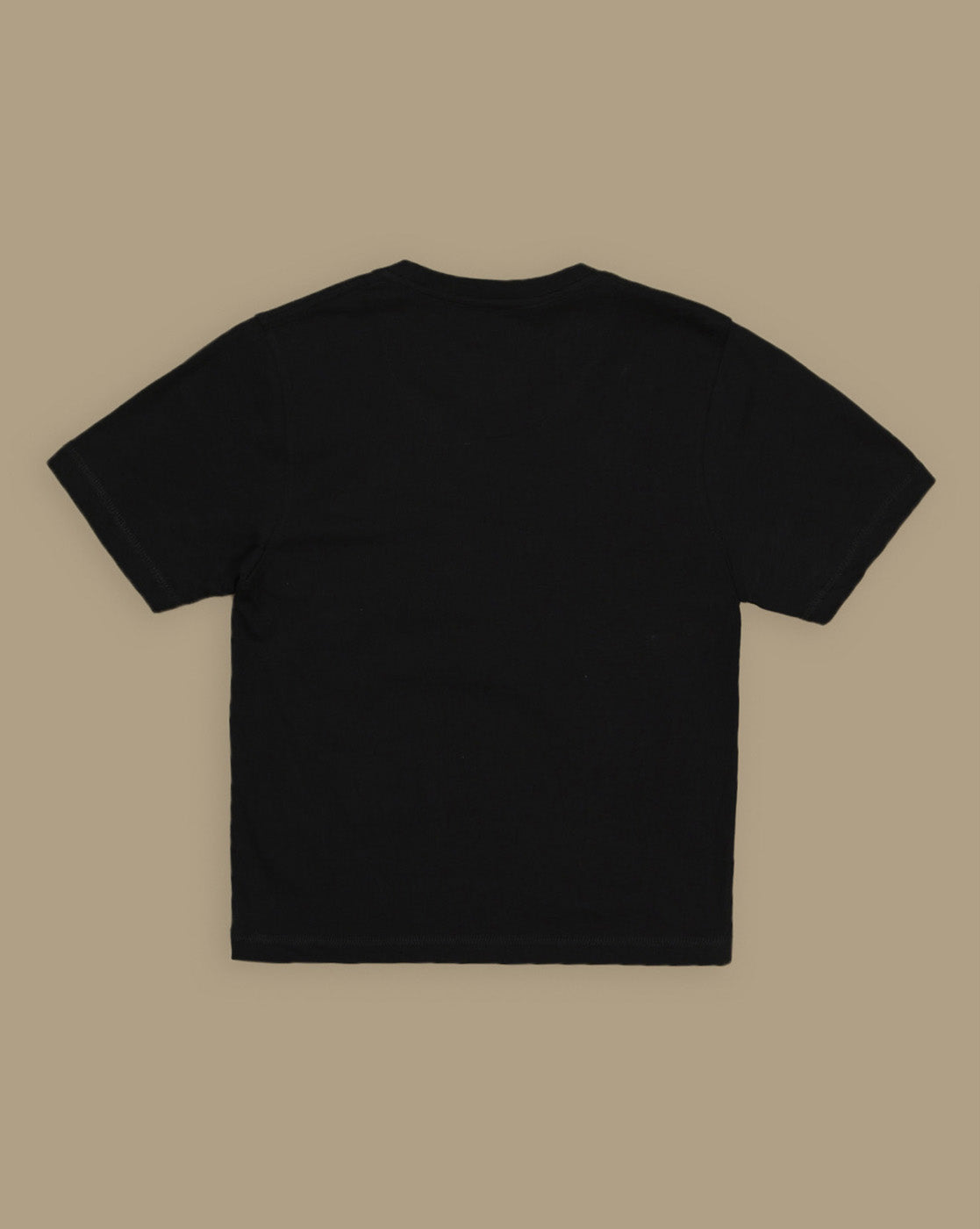 Jurassic Park Printed Regular Fit Tshirt For Boys