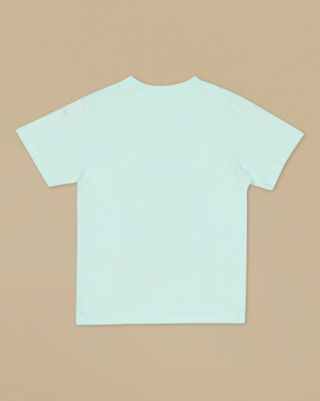 Creeper Graphic Printed Regular Fit Tshirt For Boys