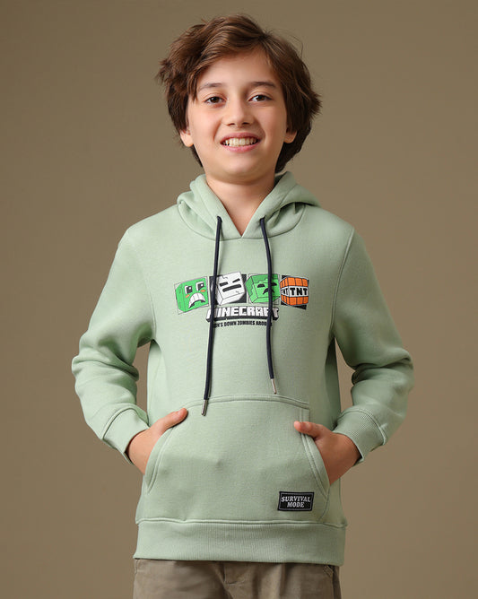 Minecraft  Regular Fit Hoodie  Boys