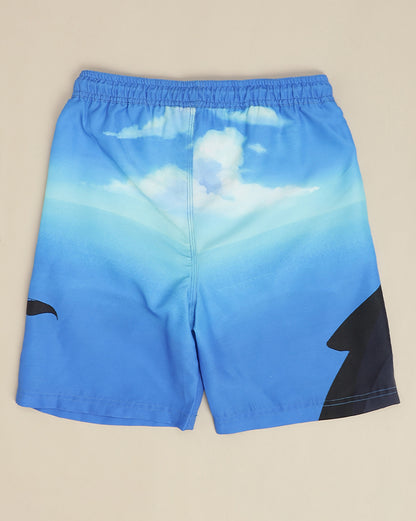 Luffy  Swim board Shorts  Boys