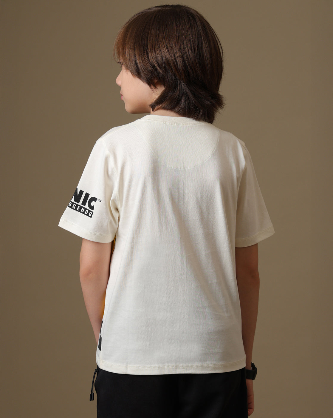 Sonic Printed Regular Fit Tshirt For Boys