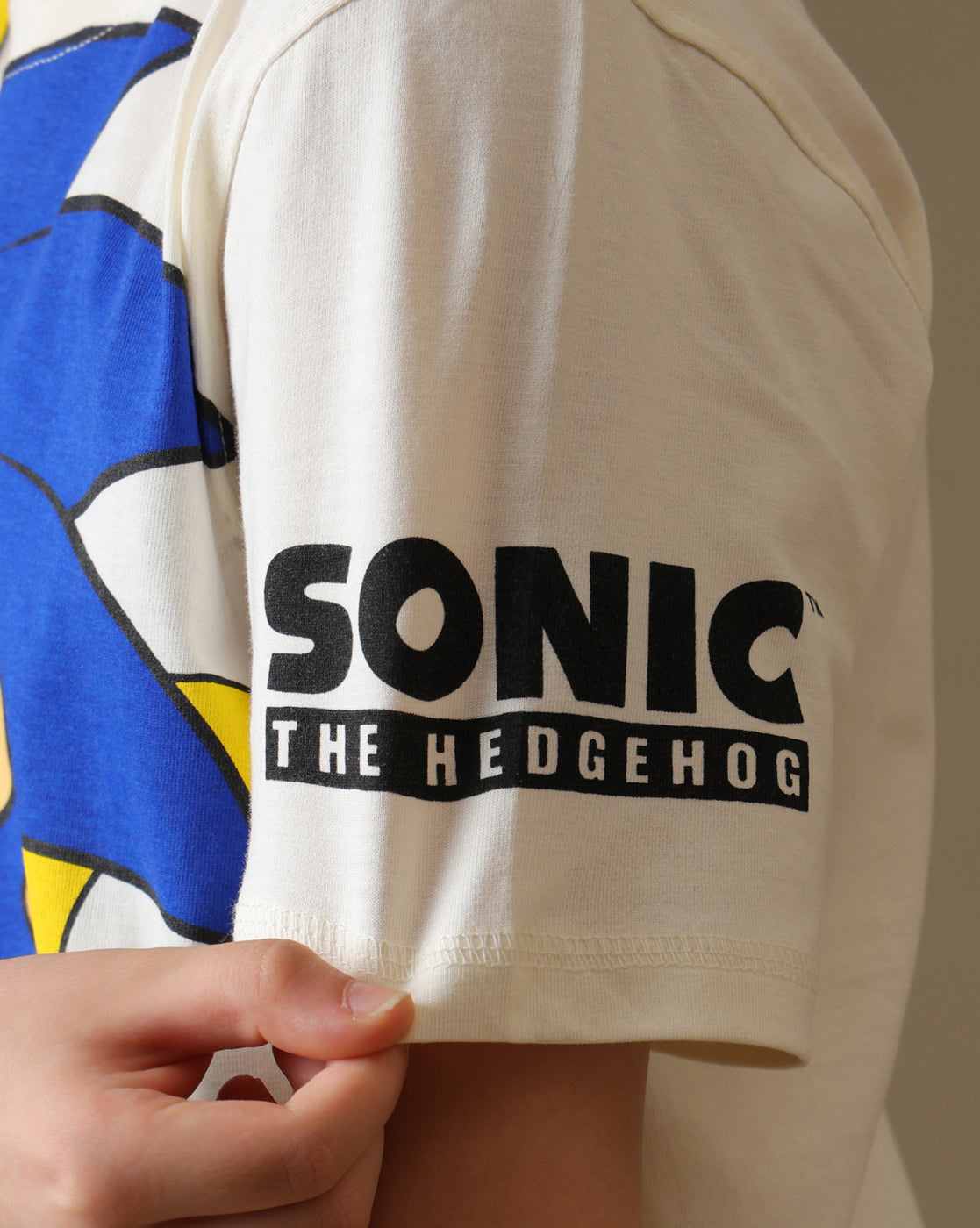Sonic Printed Regular Fit Tshirt For Boys