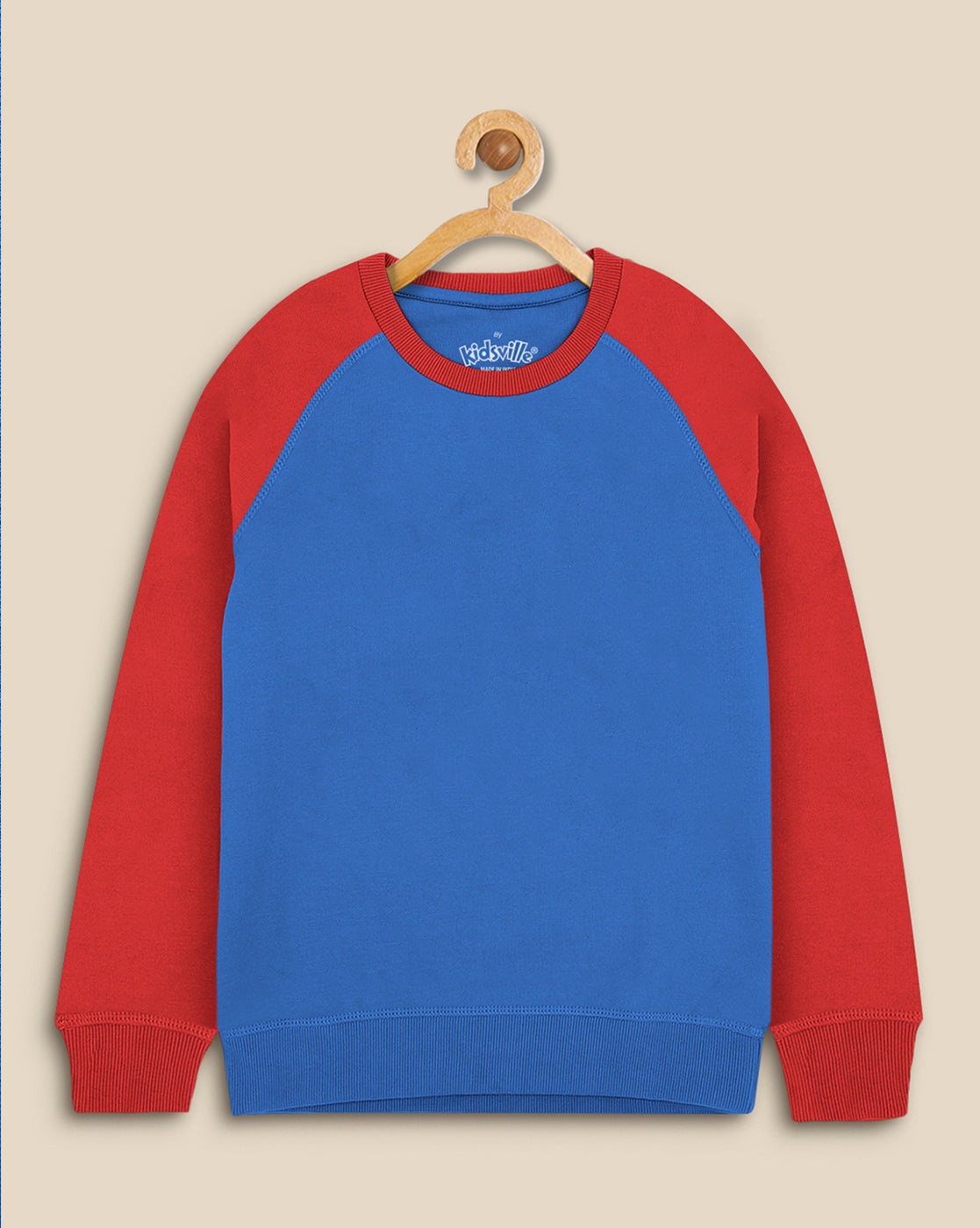 Boys Royal Blue Regular Fit Sweatshirt
