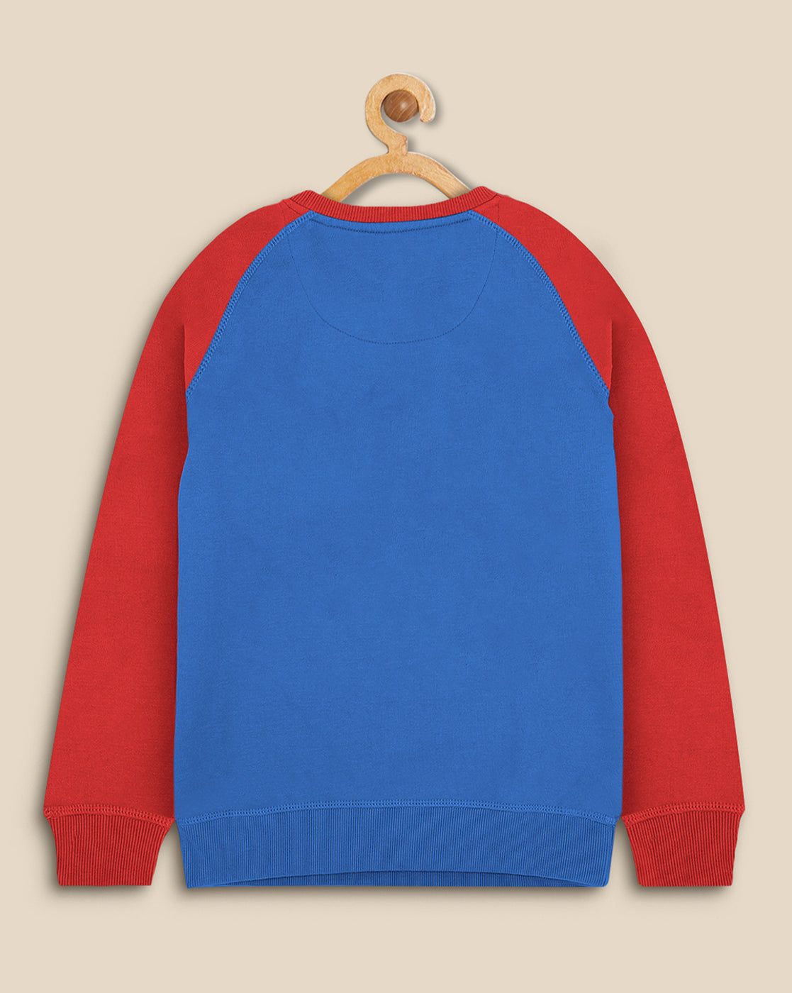 Boys Royal Blue Regular Fit Sweatshirt